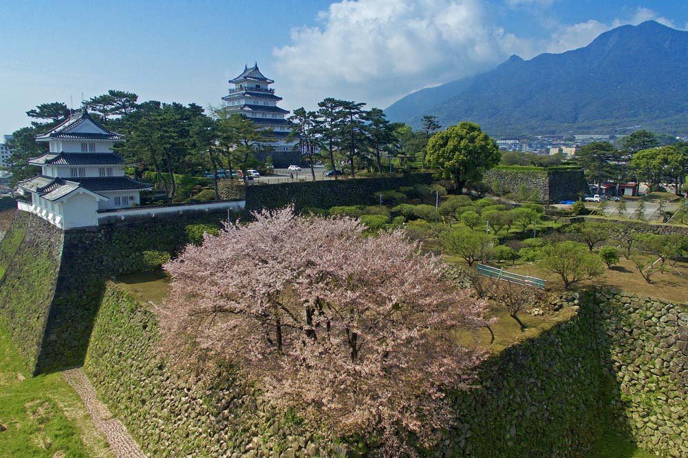 日米親善人形交流展 （島原城桜まつり）