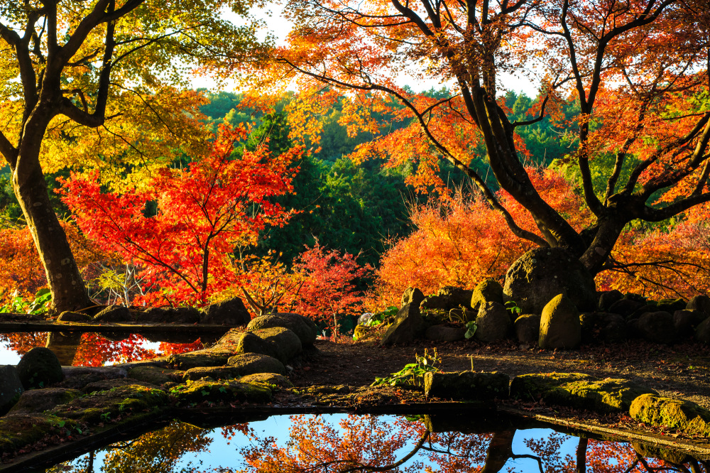 【2025】秋のお出かけスポット〜島原半島の秋を求めて〜