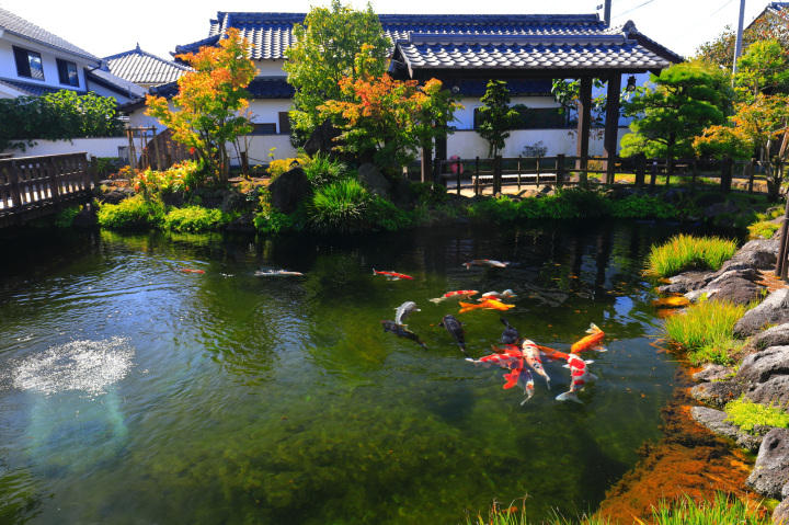 心ほどける島原雲仙の大人リトリート女子旅