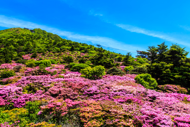 仁田峠