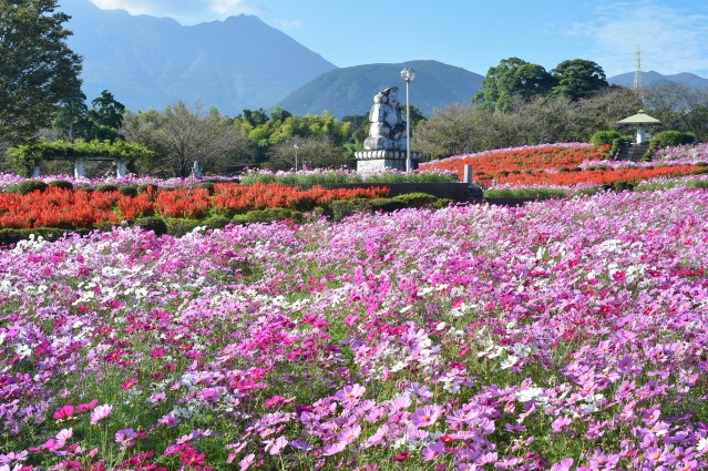 有明の森フラワー公園