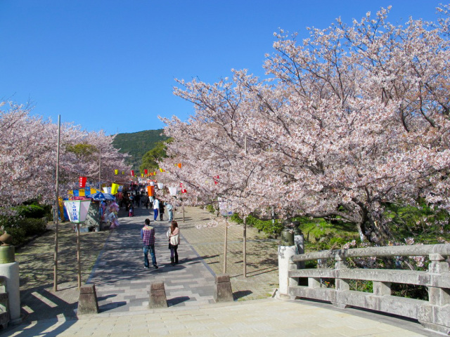 橘神社（橘公園）