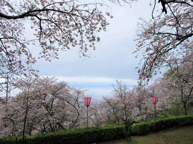 とけん山公園