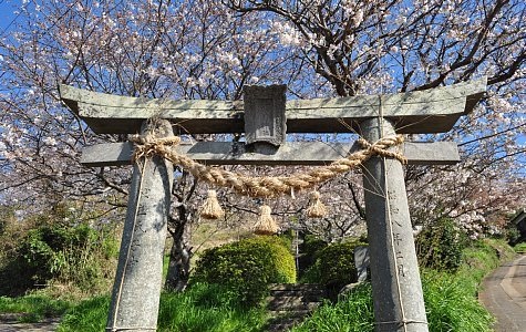 荒磯前神社