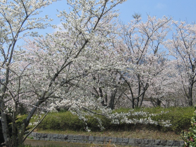 ありえ俵石自然運動公園