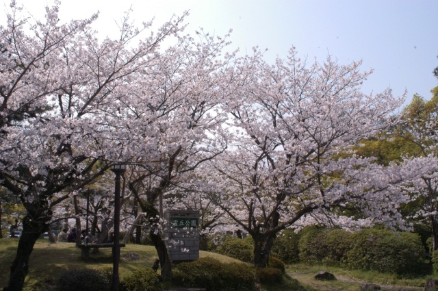 霊丘公園