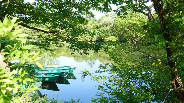 ガイドと一緒にのんびりお散歩!白雲の池ウォーキング