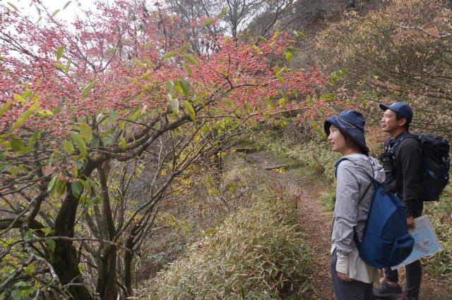 ガイドと共に登山!