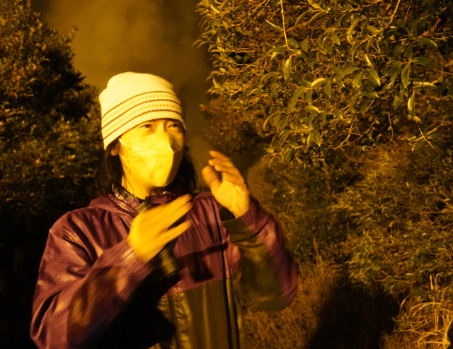 雲仙ガイド さるふぁ