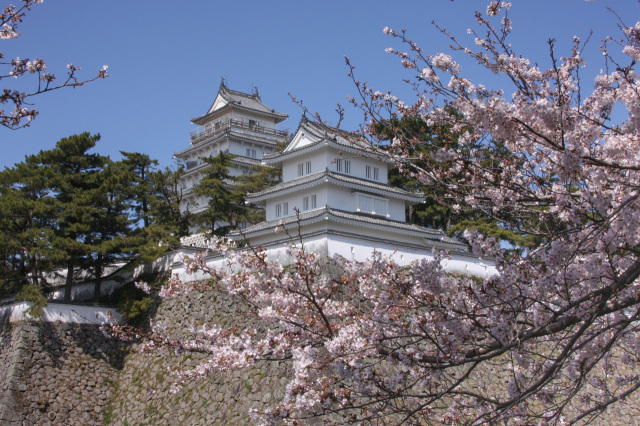 島原城　春まつり【島原市】