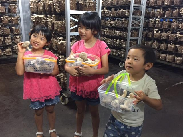 しいたけ工場見学&収穫体験